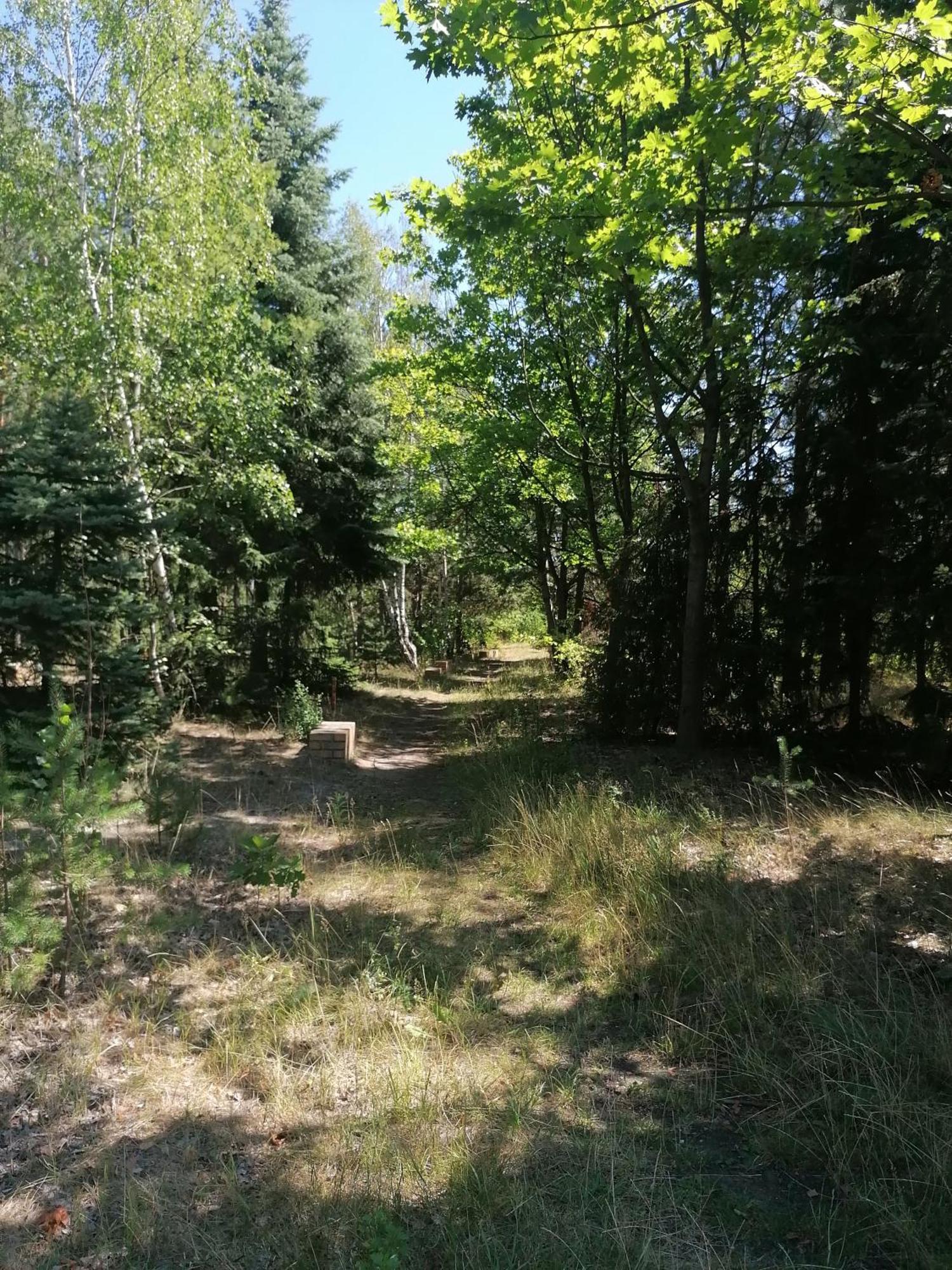 Ferienwohnung Gnubbel Am Wald Вайсвасер Екстериор снимка